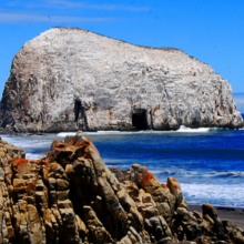 constitucio-chile