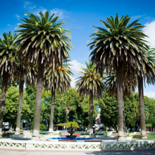 parral-chile